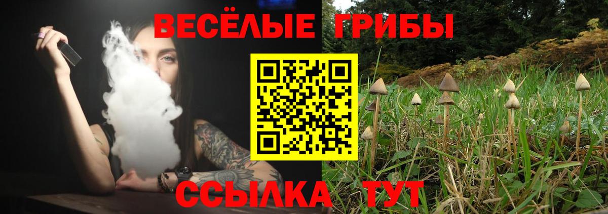 Галлюциногенные грибы ЛСД Воркута